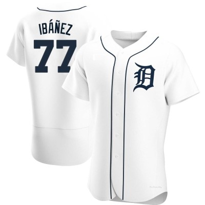 Men's Andy Ibanez Detroit Tigers Authentic White Home Jersey