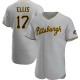 Men's Dock Ellis Pittsburgh Pirates Authentic Gray Road Jersey