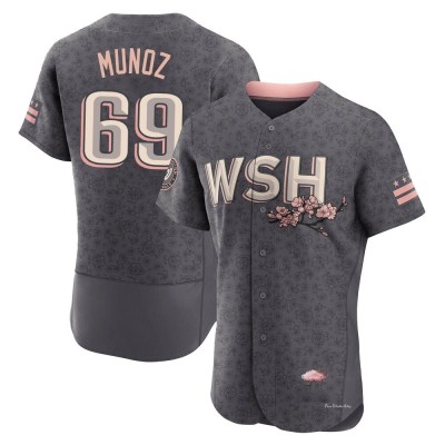 Men's Roddery Munoz Washington Nationals Authentic Gray 2022 City Connect Jersey